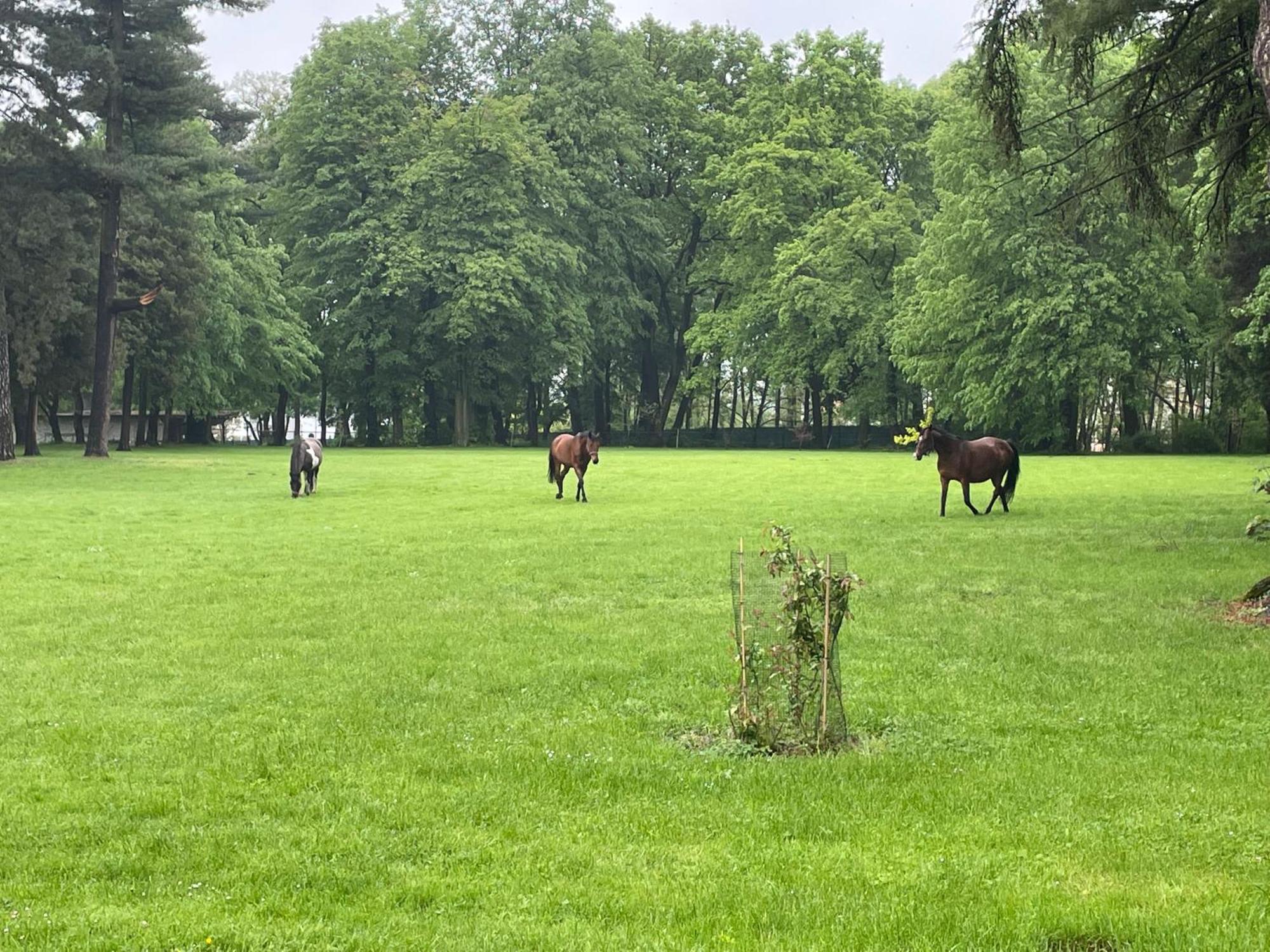 Palac Zbylitowskich Zbylitowska Gora Luaran gambar